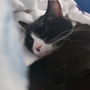 Meet your Posher, Sandy